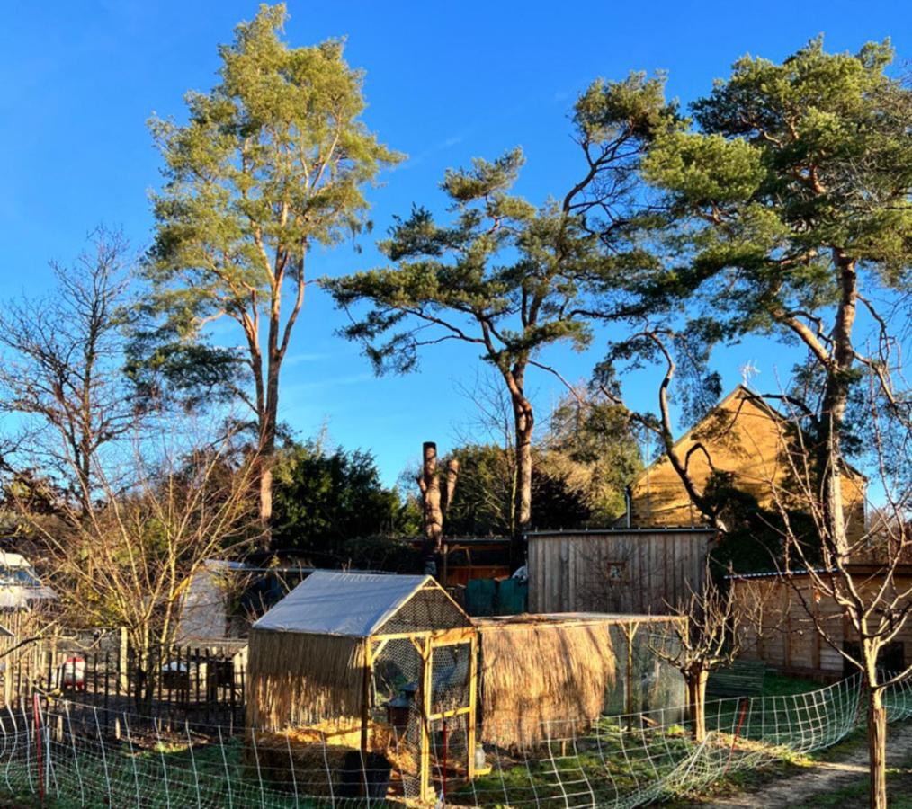 Ecolodge Beauregard Treigny Exteriör bild