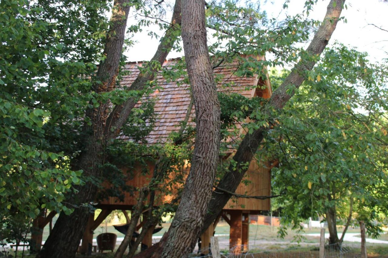 Ecolodge Beauregard Treigny Exteriör bild