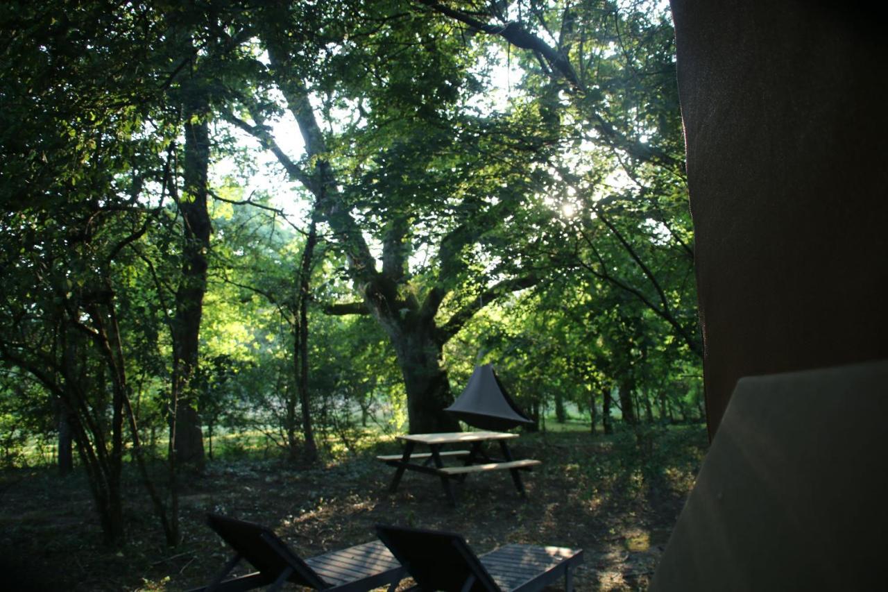 Ecolodge Beauregard Treigny Exteriör bild