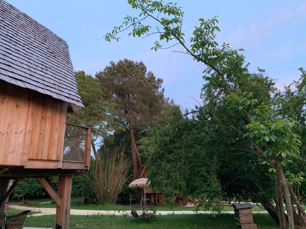 Ecolodge Beauregard Treigny Exteriör bild